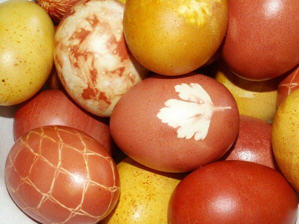 Easter Eggs May2005 0181 600x449 It Puts the Eggs in the Basket. It Does This Whenever Its Told!